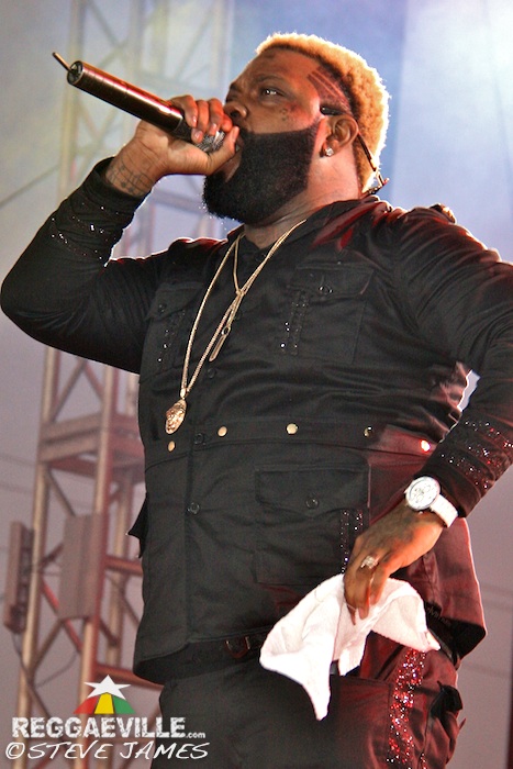 Various Artists @ Sting 2014