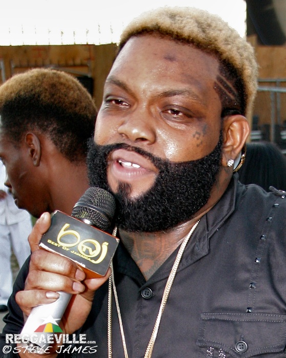 Various Artists @ Sting 2014