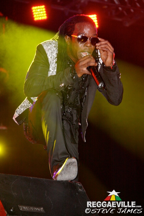 Various Artists @ Sting 2014