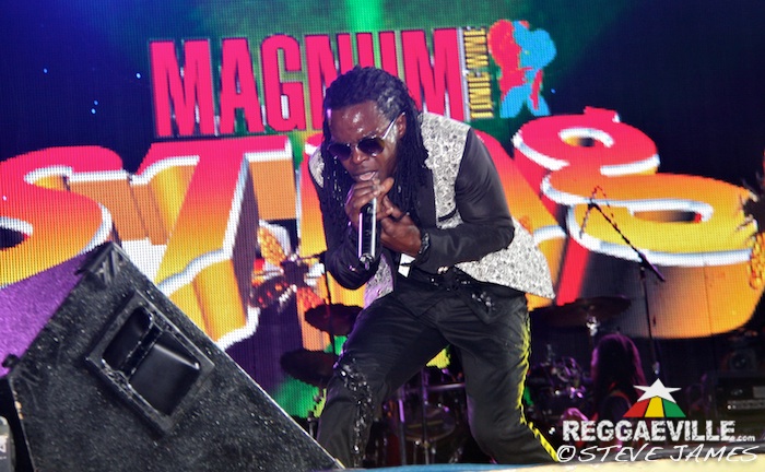 Various Artists @ Sting 2014