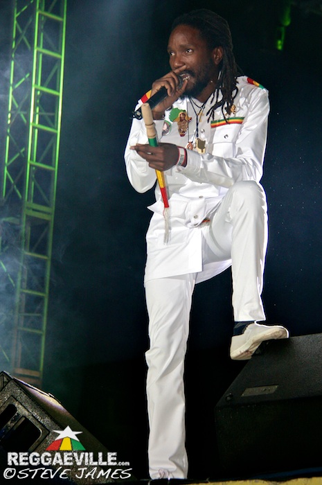 Various Artists @ Sting 2014