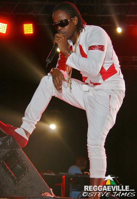 Various Artists @ Sting 2014