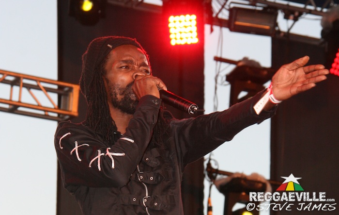 Various Artists @ Sting 2014