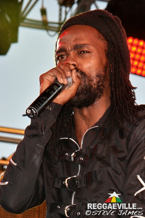 Various Artists @ Sting 2014