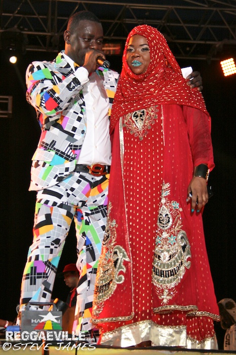 Various Artists @ Sting 2014