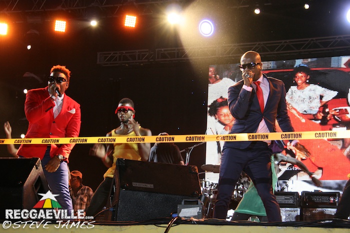 Various Artists @ Sting 2014