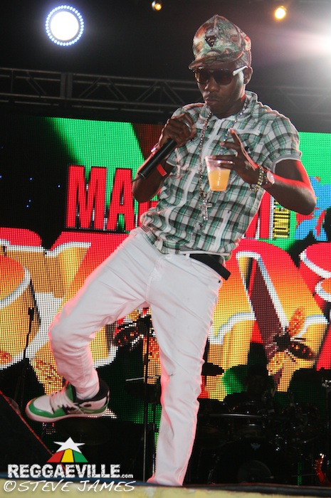 Various Artists @ Sting 2014