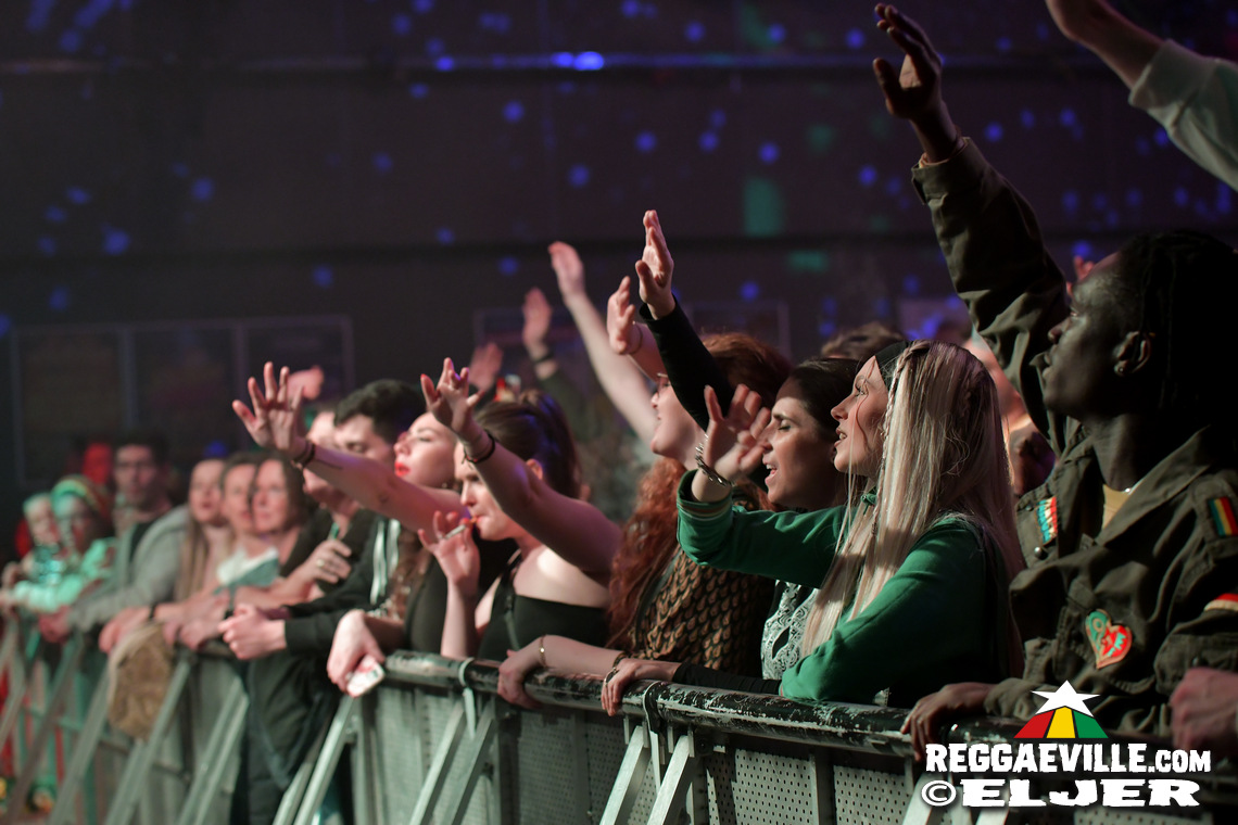 Dub FX feat. Mr. Woodnote, Anthony B & House of Riddim